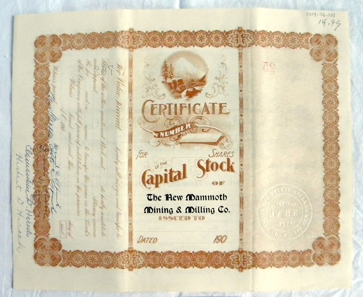 Stock Certificate