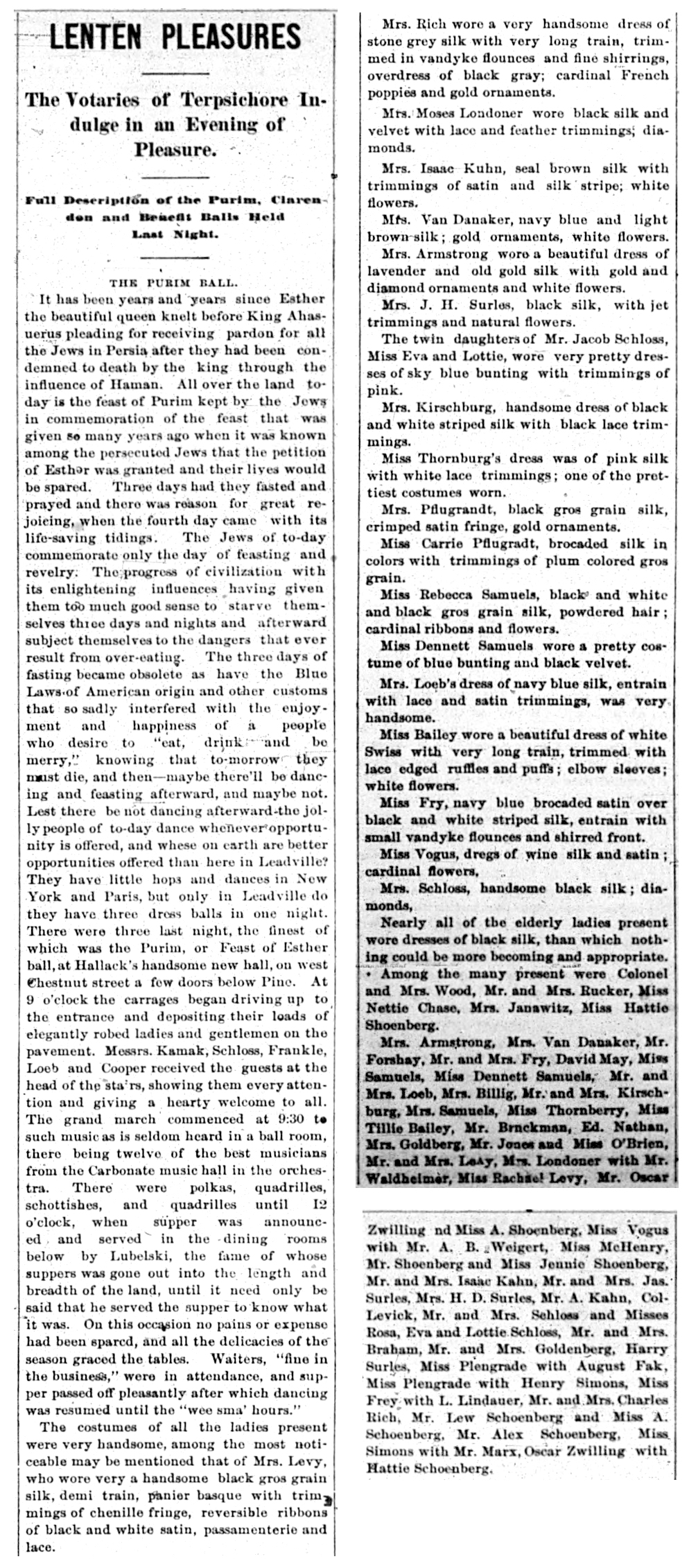 Leadville Weekly Democrat. Saturday, February, 28, 1880.
