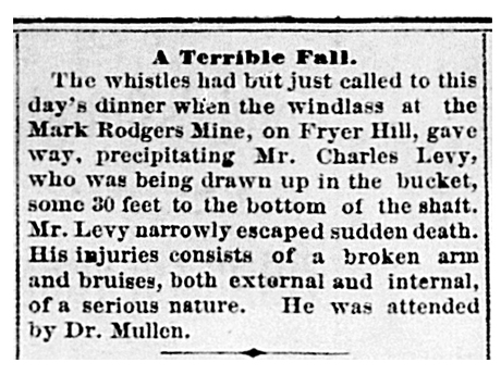 A Terrible Fall. (Leadville, CO: Leadville Daily Evening Chronicle). Friday, July 18, 1879. Page 4.